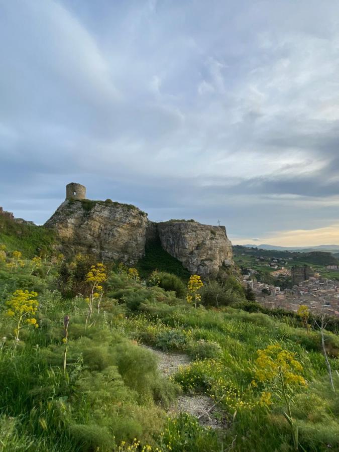 La Ginestra Διαμέρισμα Κορλεόνε Εξωτερικό φωτογραφία